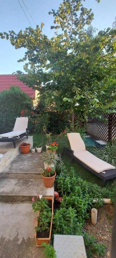 فندق Casa Adriana إيفوري سود المظهر الخارجي الصورة